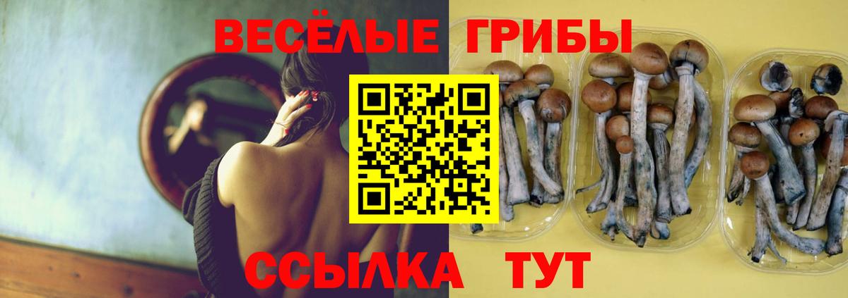 Видное  Галлюциногенные грибы GOLDEN TEACHER  Вход с VPN 